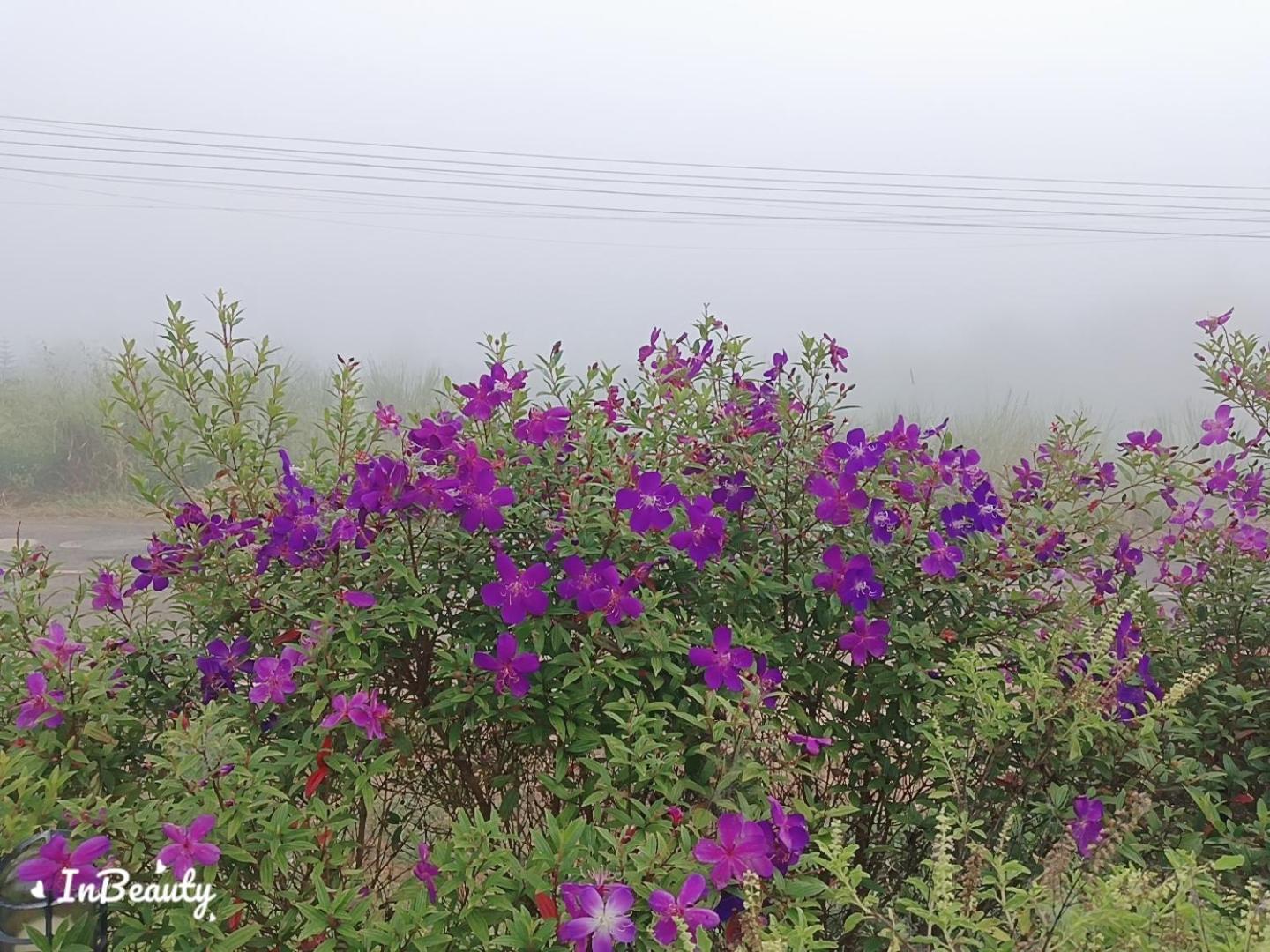 เฟรนด์แคมป์ Villa Khao Kho Eksteriør bilde